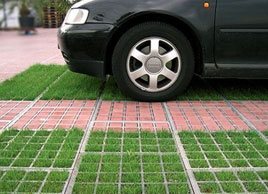 Фото рулонного газона для парковки